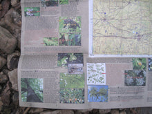 Load image into Gallery viewer, Texas- Dallas Area South