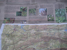 Load image into Gallery viewer, Texas- Dallas Area North