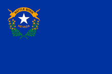 Load image into Gallery viewer, Nevada- Las Vegas Area